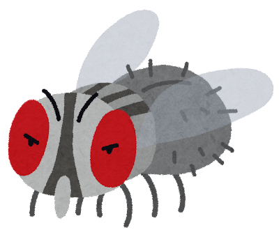 bug_hae.png