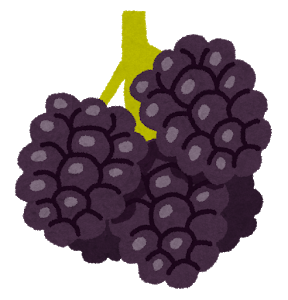 fruit_blackberry_black.png